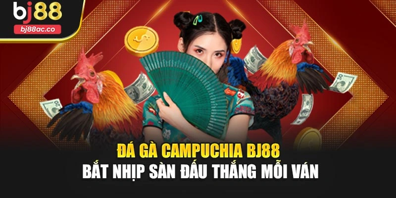Đá Gà Campuchia Bj88 – Bắt Nhịp Sàn Đấu Thắng Mỗi Ván