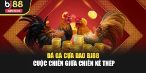 Đá Gà Cựa Dao Bj88 – Cuộc Chiến Giữa Chiến Kê Thép